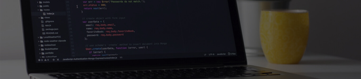 web development logan city