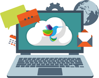 Web Design Services calgary