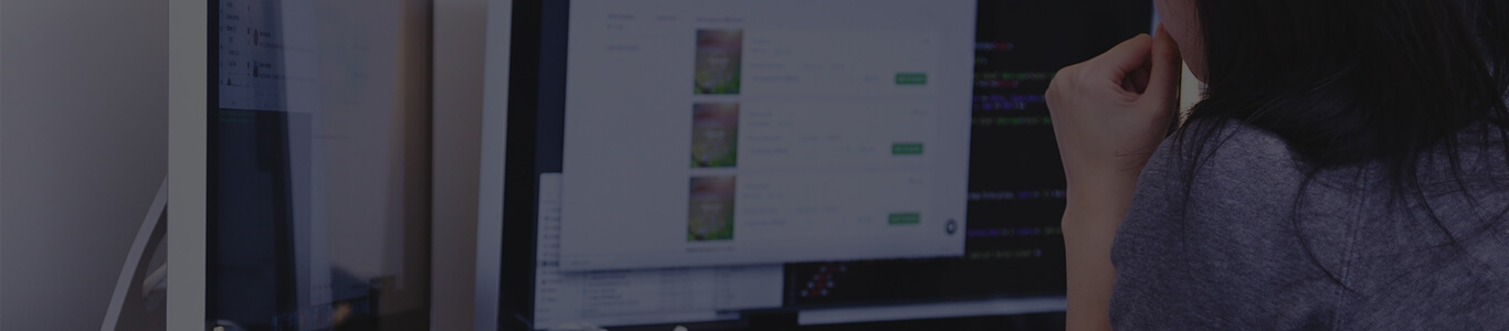 web design North York