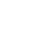 Portfolio ng