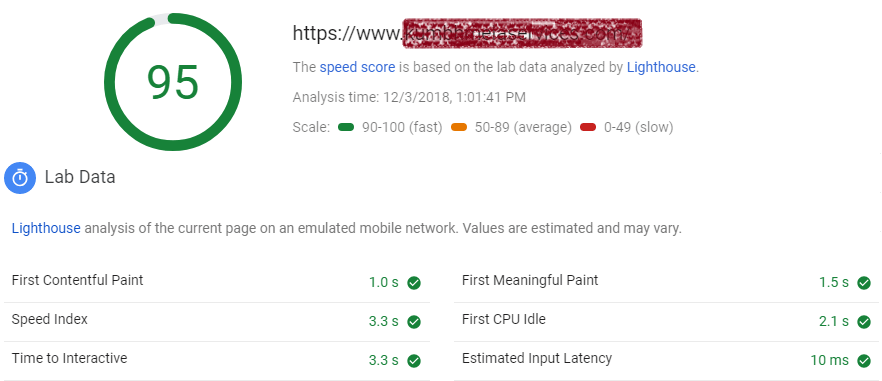 google-pagespeed-insight-report