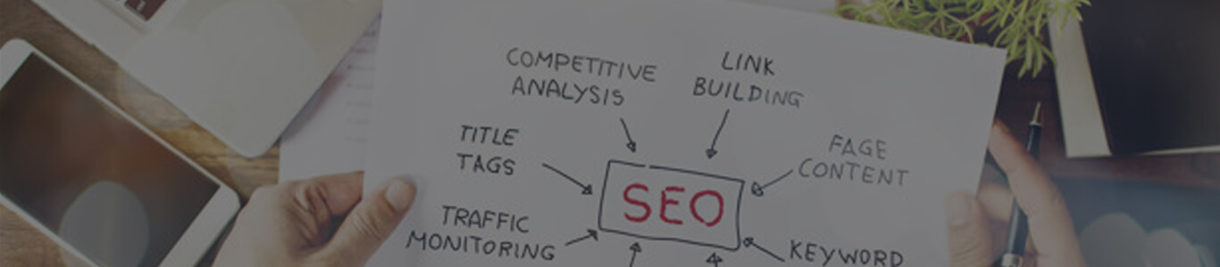 Search Engine Optimization Services