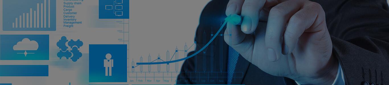 SEO Service in New York